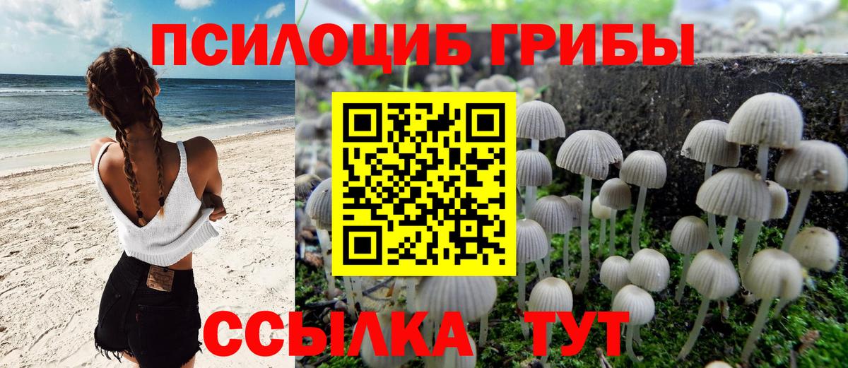 Галлюциногенные грибы Psilocybine cubensis  Вход с VPN  Губкинский 